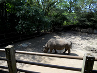 Kansas City Zoo August 2011